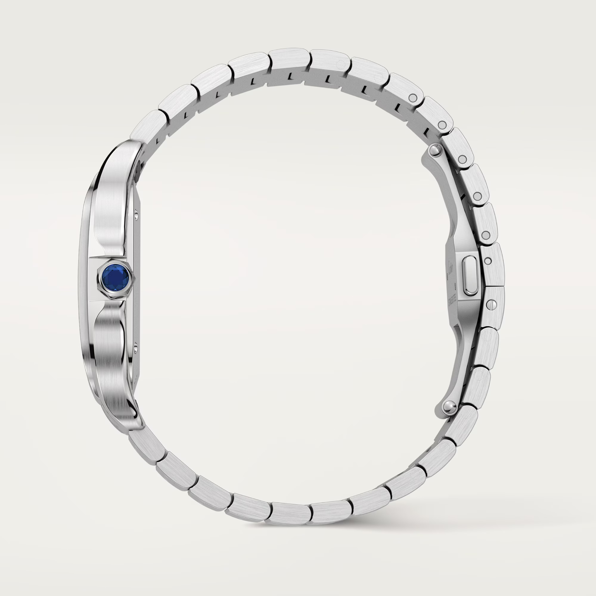 Cartier Santos Bleu